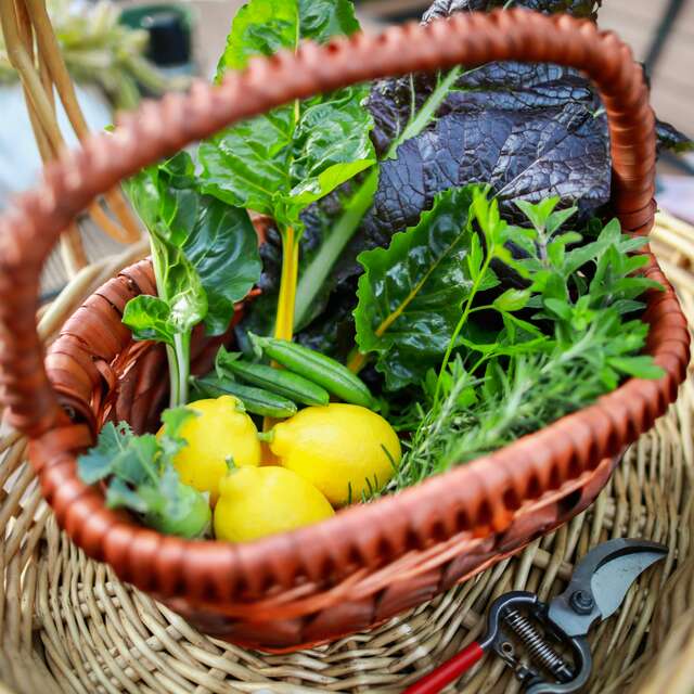 "Du jardin à l'assiette" - portes ouvertes gourmandes