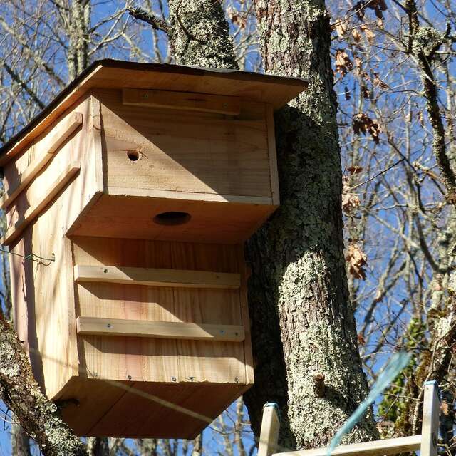 Journée "Nichoirs" au Jardin Bourian