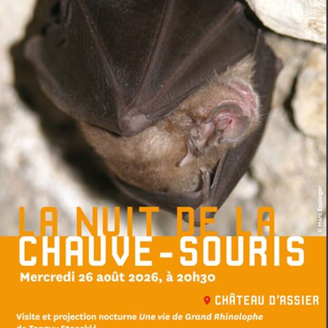 La nuit de la chauve-souris au Château d’Assier