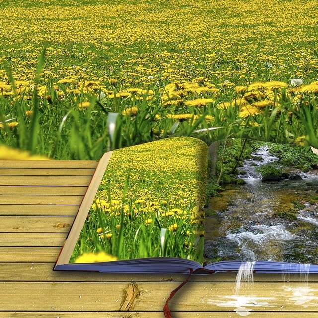 Avril 2026 à la BIG !