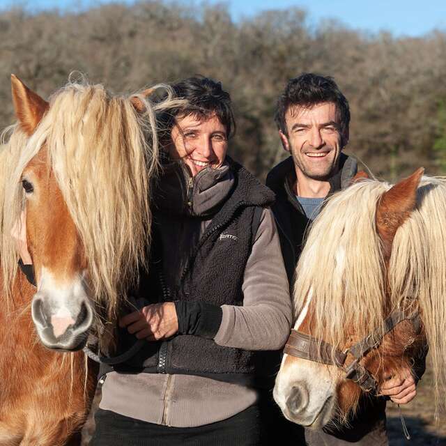 Jumenterie du Pech Blanc - GALEGA