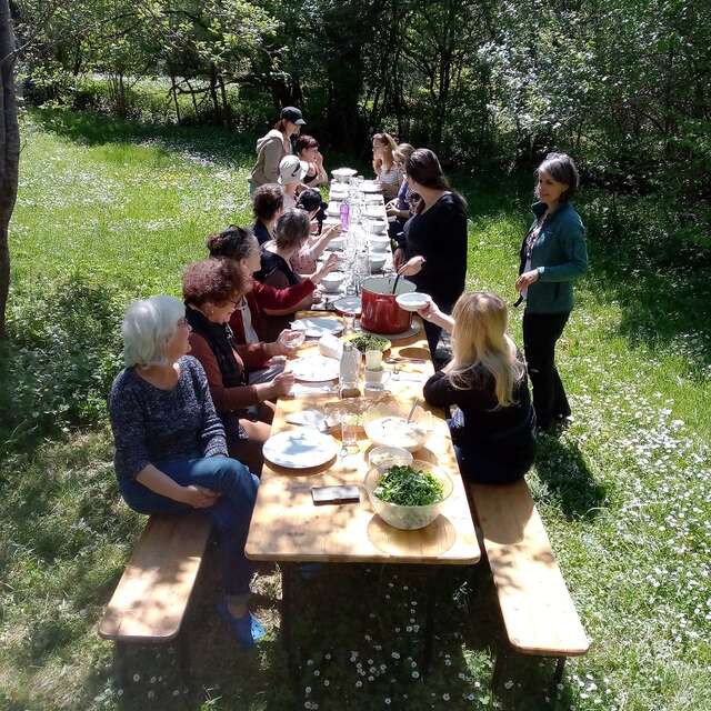 Stage de cuisine sauvage: 50 plantes de printemps