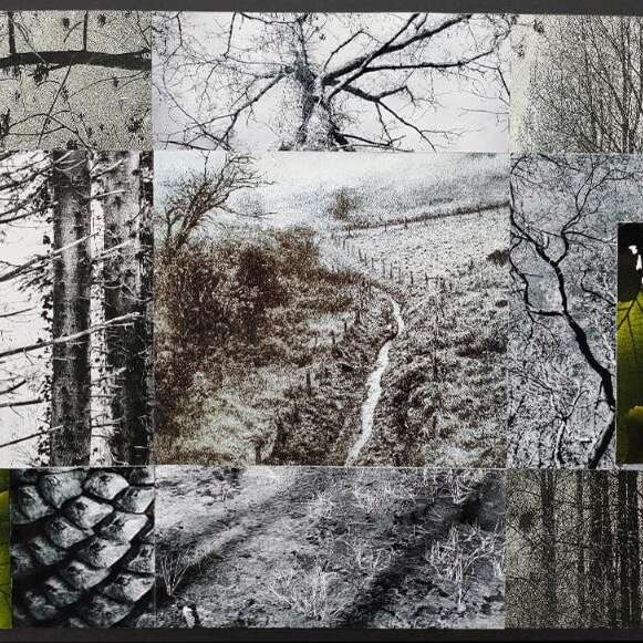 Exposition d'Art Contemporain "Skopies" à l'Espace 21