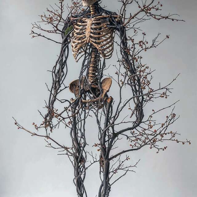 Conférence "Mort.e ou vivant.e ?"