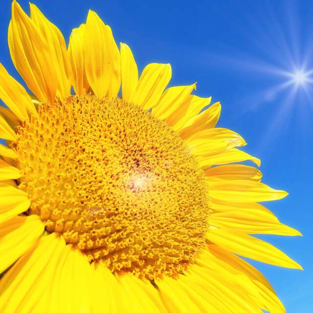 Saint-Projet fête l'été