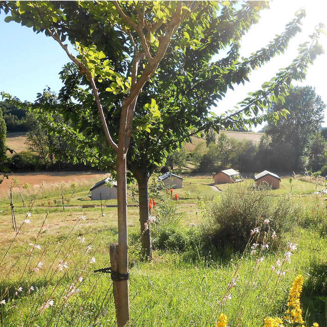 Tente Safari à TournonZen