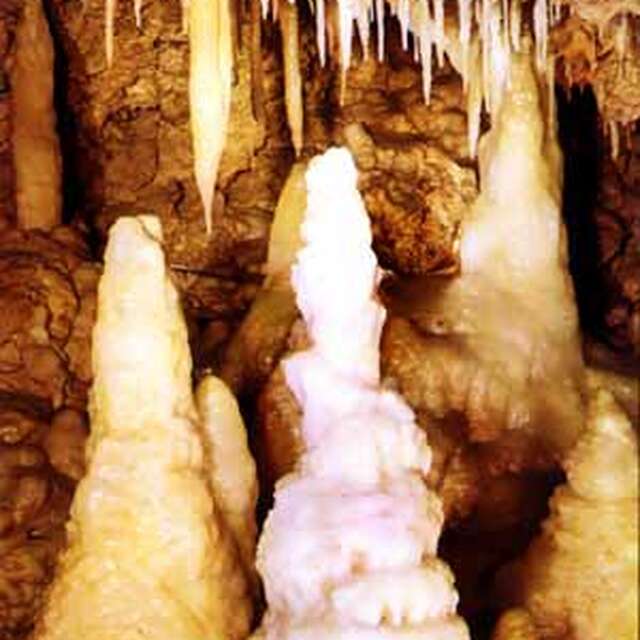 Grottes de Fontirou
