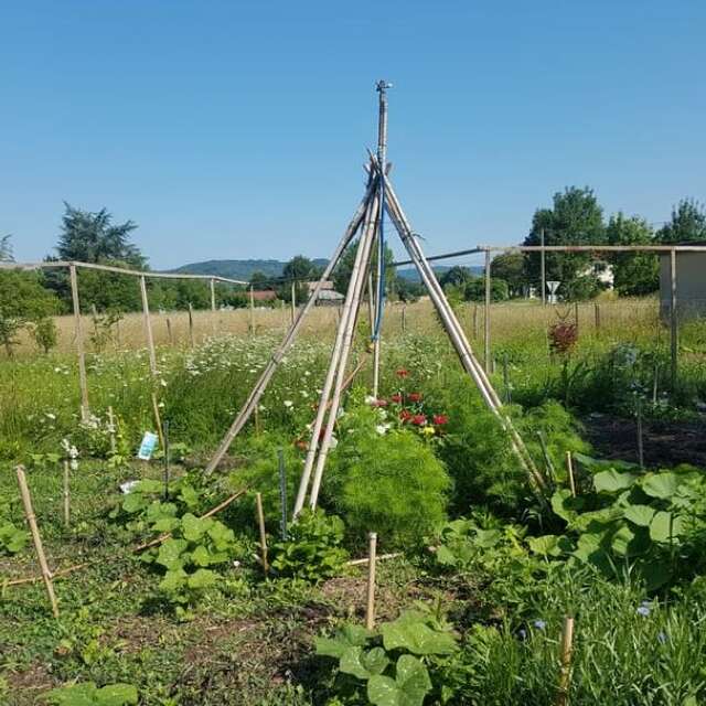 Le jardin insolite de Papy Paulo