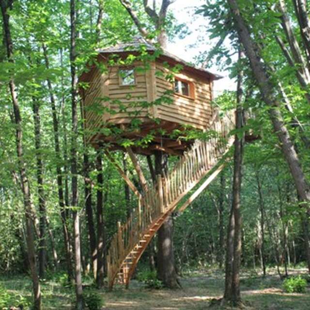 Les folies de Sophie