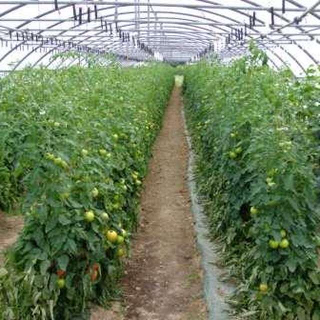 GAEC La ferme d'Al Souysse