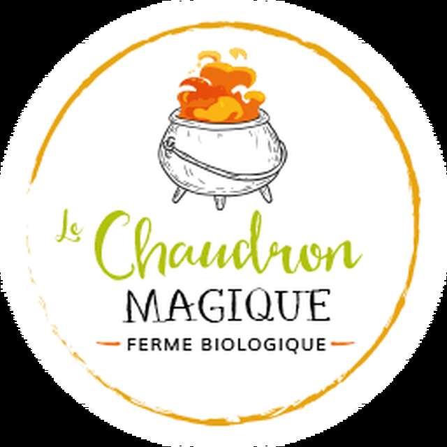 Le Chaudron Magique