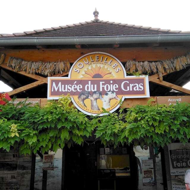 Ferme de Souleilles - Musée du foie gras