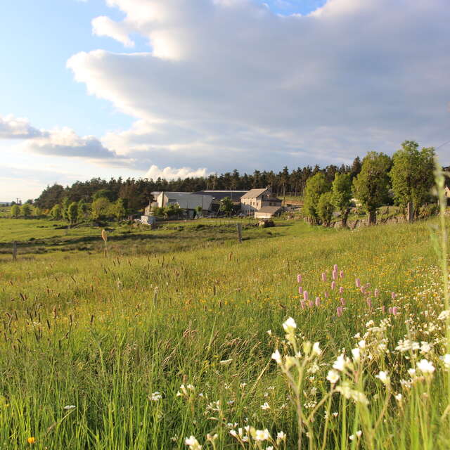 LA FERME ENCHANTÉE