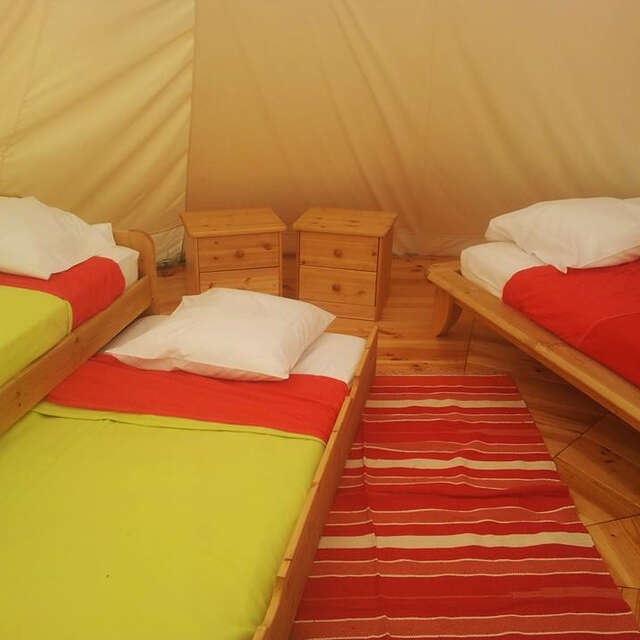ZACKARY TIPIS