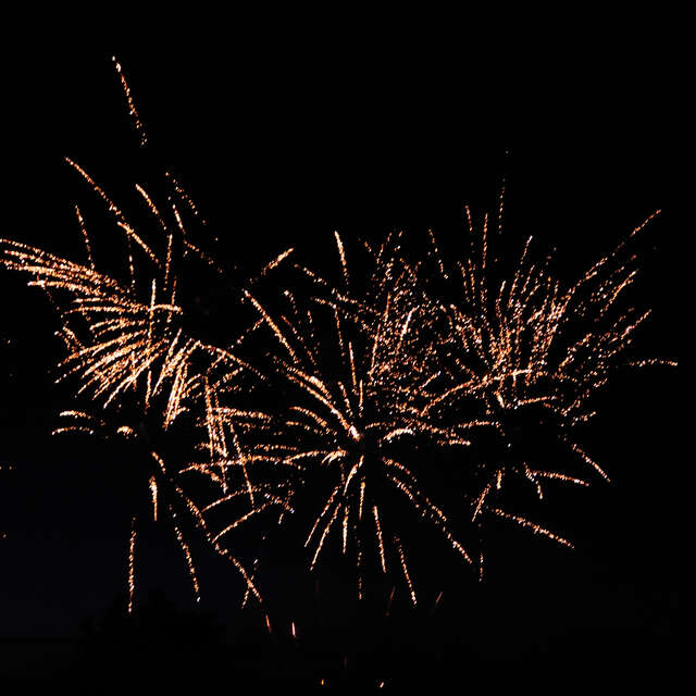 René en fête