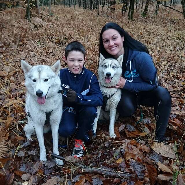 HUSKY D'ANJOU, LE MONDE DU CHIEN DE TRAINEAU