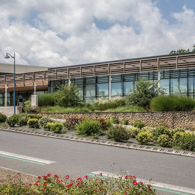 Cinéma