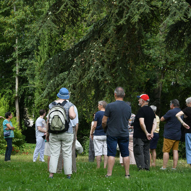 Marche gourmande semi nocturne