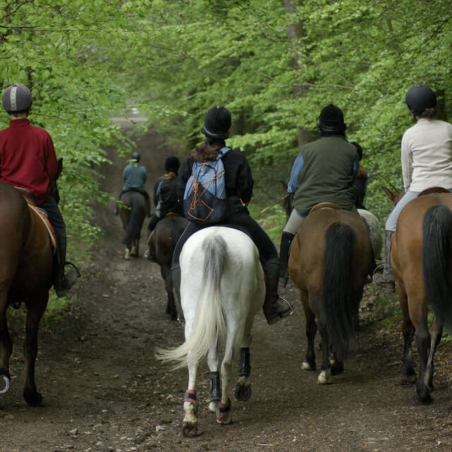 Randonnée équestre à Saint Rémy-du-Val