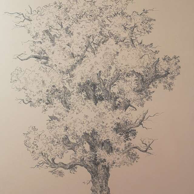 EXPOSITION DE MATHIEU MAIGNAN