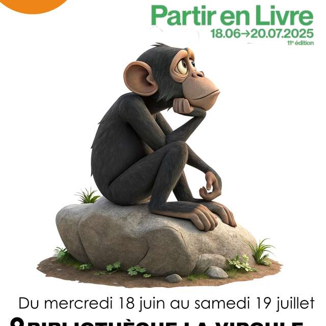 LES ÉNIGMES DE LA VIRGULE