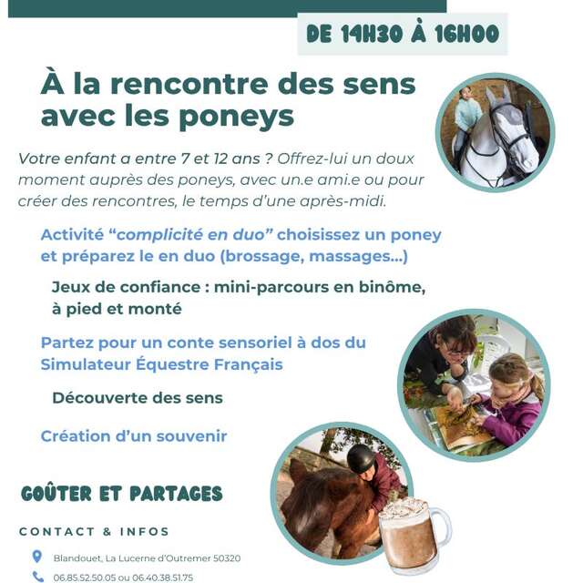 À la rencontre des sens avec les poneys