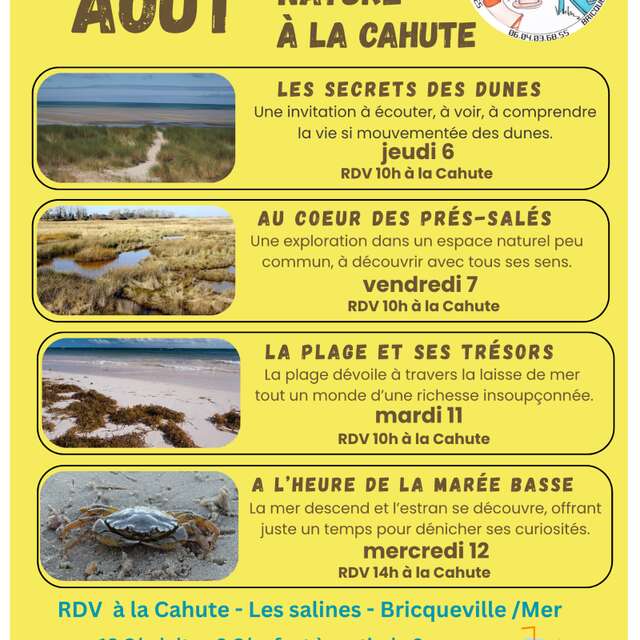 Les secrets des dunes