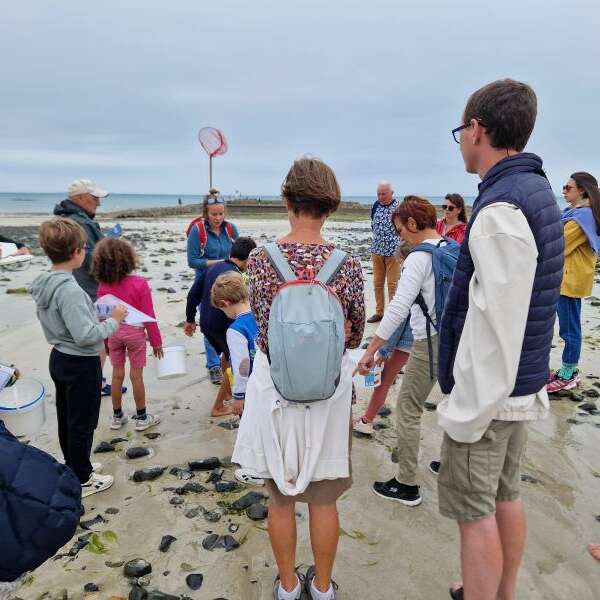 Crabes, bigorneaux et compagnie