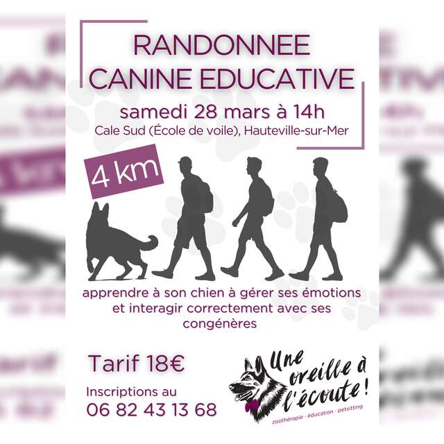 Randonnée canine éducative