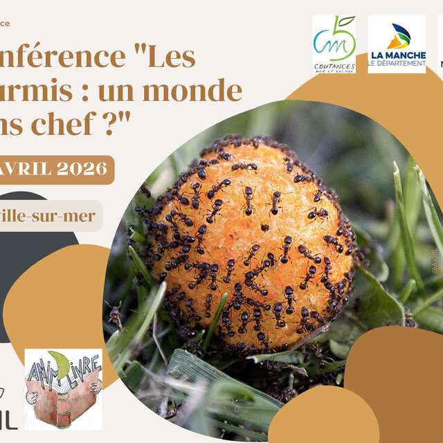 Conférence "Les fourmis : un monde sans chef ?"