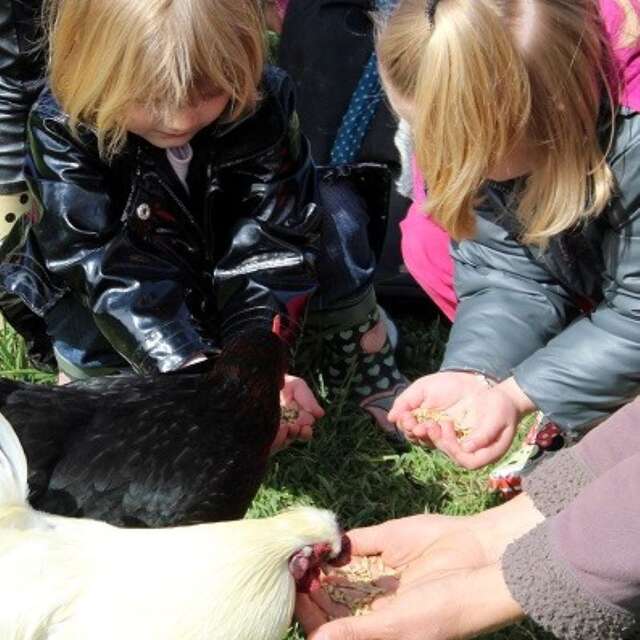 Aujourd'hui c'est toi le fermier !