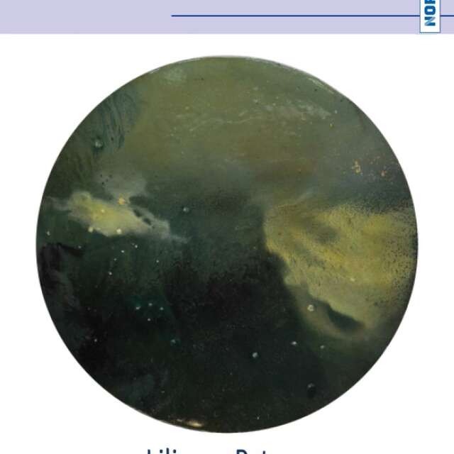 Exposition : "Cosmogonies" de Lilianne Petraru