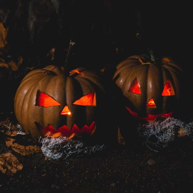 Soirée Halloween au Lady Bière