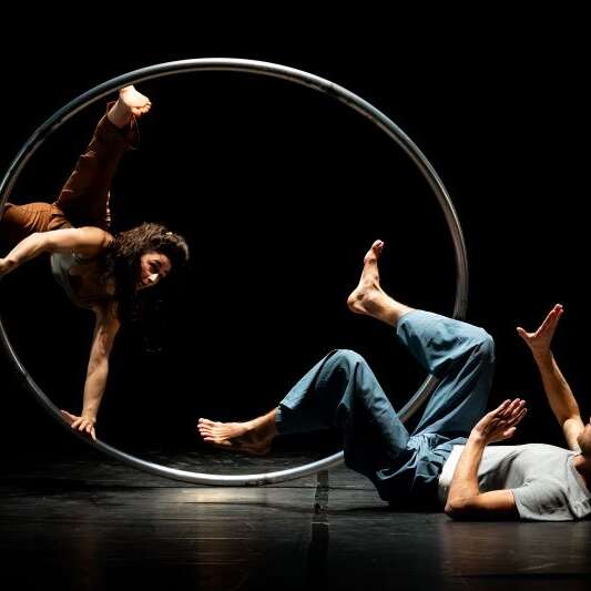 Cirque : In difference de Jef Everaert et Marica Marinoni