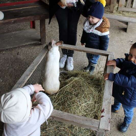 Mes 1ères bottes - Nourrissage des animaux de la ferme