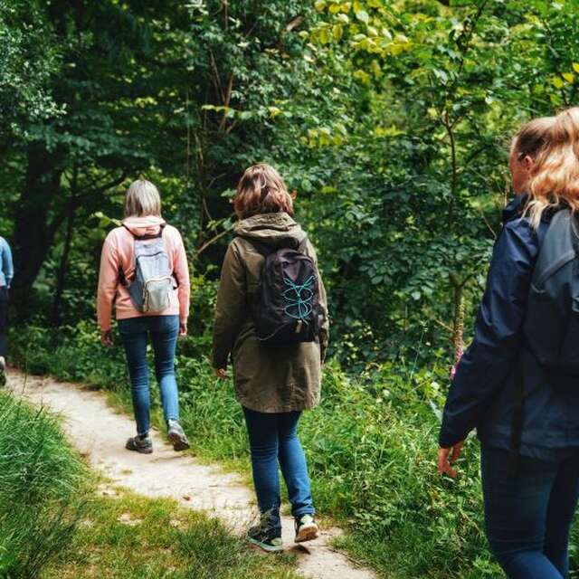 Expérience de Destination : J’éveille mes sens au cœur de la Forêt de la Lucerne