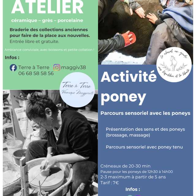 Vide atelier et activité avec les poneys