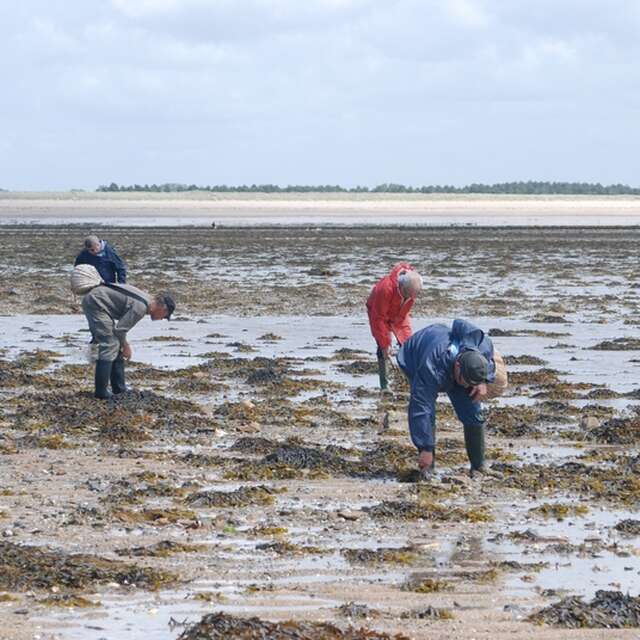 Initiation pêche aux praires