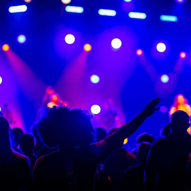 Fauché dans la noirceur #11