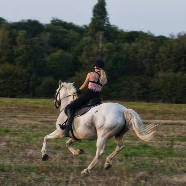 Concours complet d'équitation