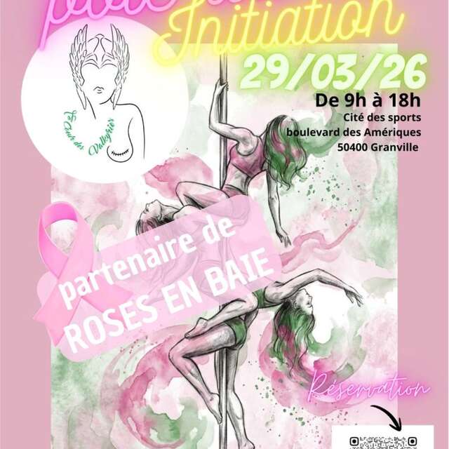 Initiation Pôle Dance pour tous