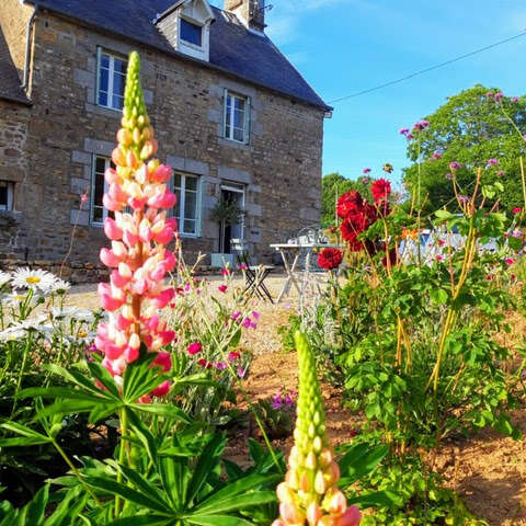 Meublé de tourisme > Apple Tree Hill - Le Pommier