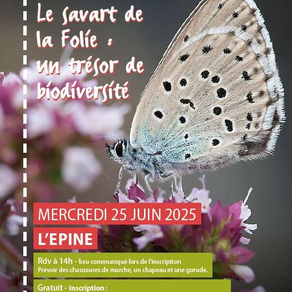 Le Savart de la Folie : un trésor de biodiversité