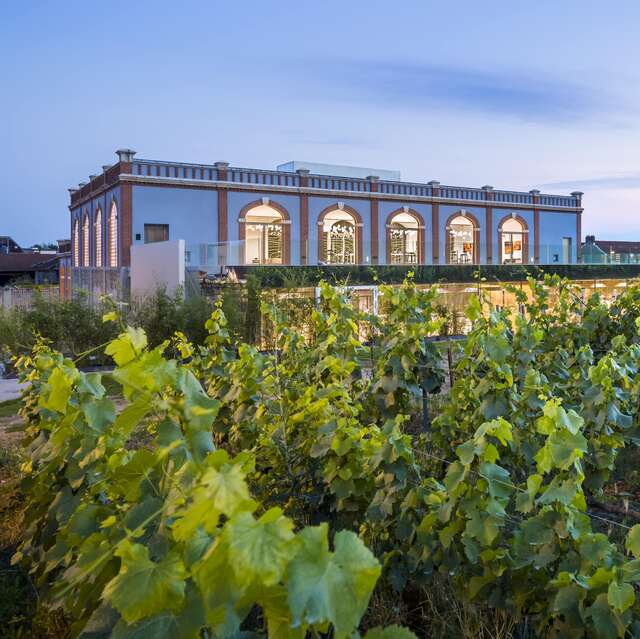 Fascinant Week-end V&D : Pressoria accueille deux vignerons