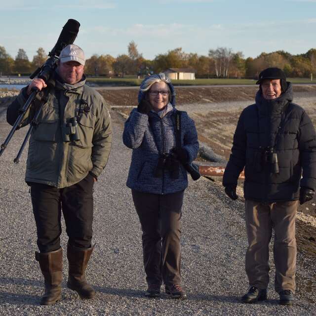 Thierry Lacombe - Guide nature et ornithologue