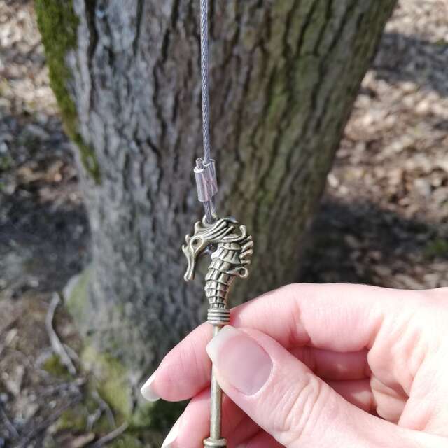 Escape Game - La Dame du Lac