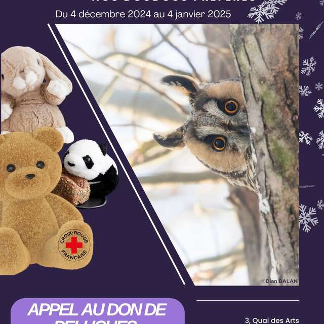 Exposition : De la photo à la peluche, nos doudous préférés