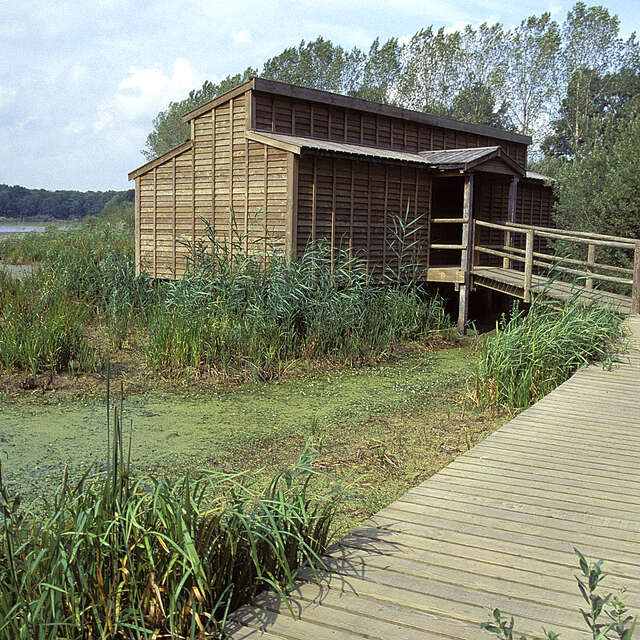 Observatoire ornithologique de l'Etang du Grand Coulon - Sud