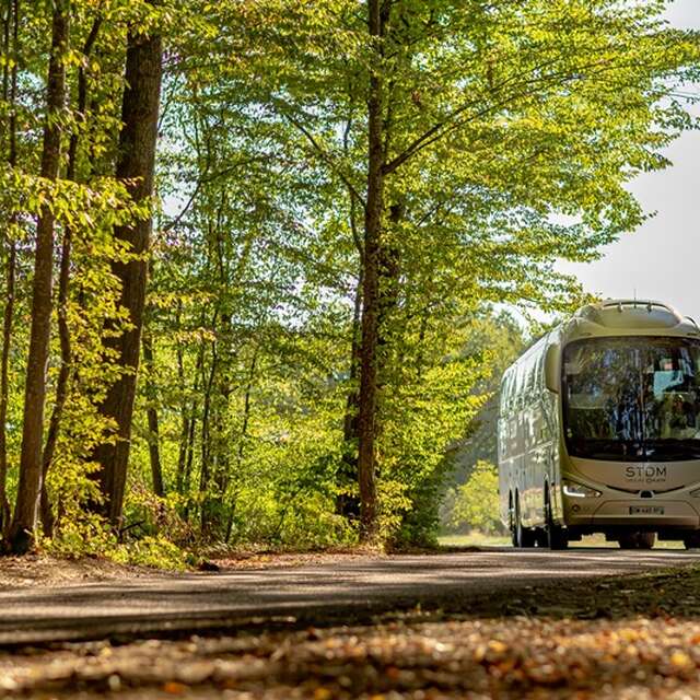 Excursions à Thèmes avec la STDM