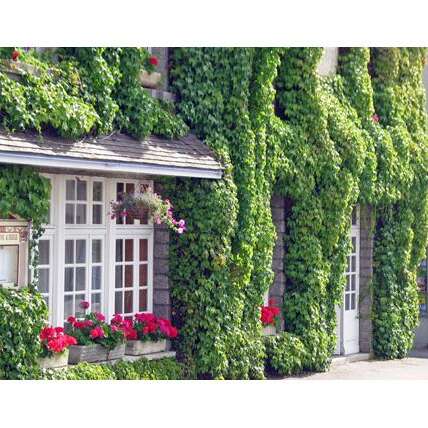 À la bonne auberge